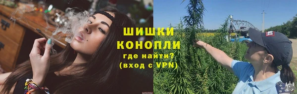 спайс Богданович